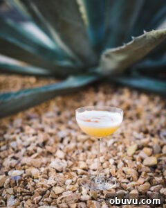 mezcal sour cocktail outdoors 2