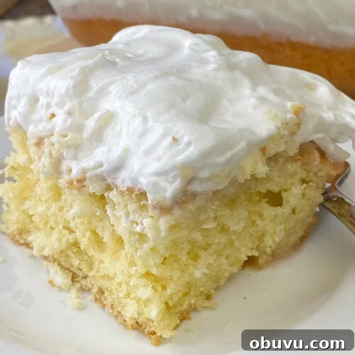 Sour cream and coconut mix together for an amazing old fashioned icing on a piece of golden butter cake