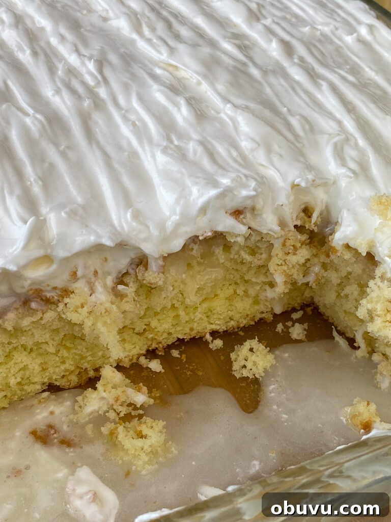 Creamy coconut and sour cream icing spread generously on a yellow cake in a 9 x 13 pan