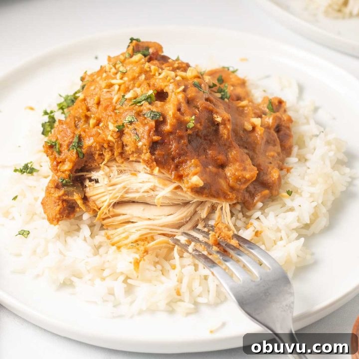Week 13 Meal Plan: Group 2 Weekly Menu & Grocery List 6 Plated slow cooker Thai Peanut Chicken over rice garnished with chopped peanuts and cilantro with a fork cutting into the chicken showing white breast meat.