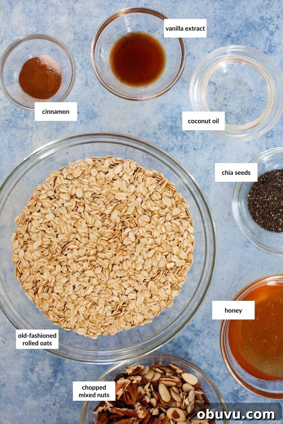 Refreshing Yogurt and Granola Bowl Recipes for Every Morning 3 A bowl of blueberry overnight oats, nuts, seeds and other ingredients.