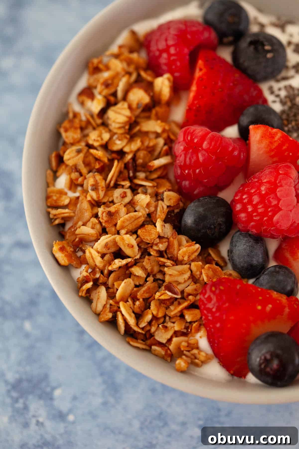 Refreshing Yogurt and Granola Bowl Recipes for Every Morning 5 A bowl of granola, raspberries, and blueberries and chia seeds.
