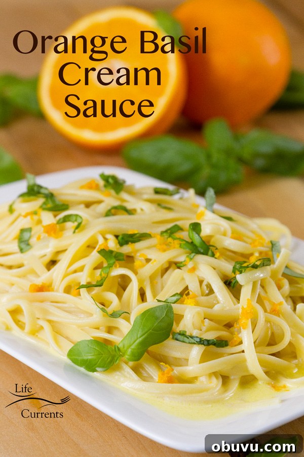 Orange Basil Cream Sauce - An unforgettable buttery cream sauce with sweet tangy orange and fresh basil. Orange Basil Cream Sauce - An unforgettable buttery cream sauce with sweet tangy orange and fresh basil. Here I've served it over pasta