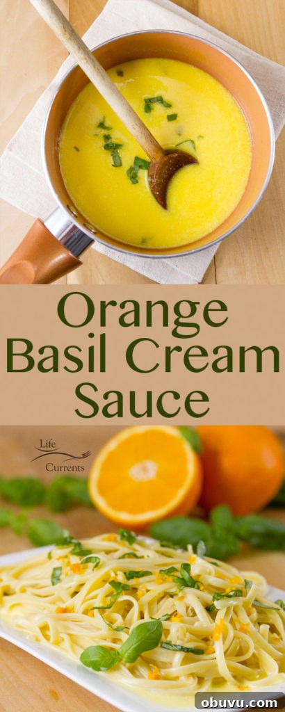 Orange Basil Cream Sauce Recipe Orange Basil Cream Sauce Recipe