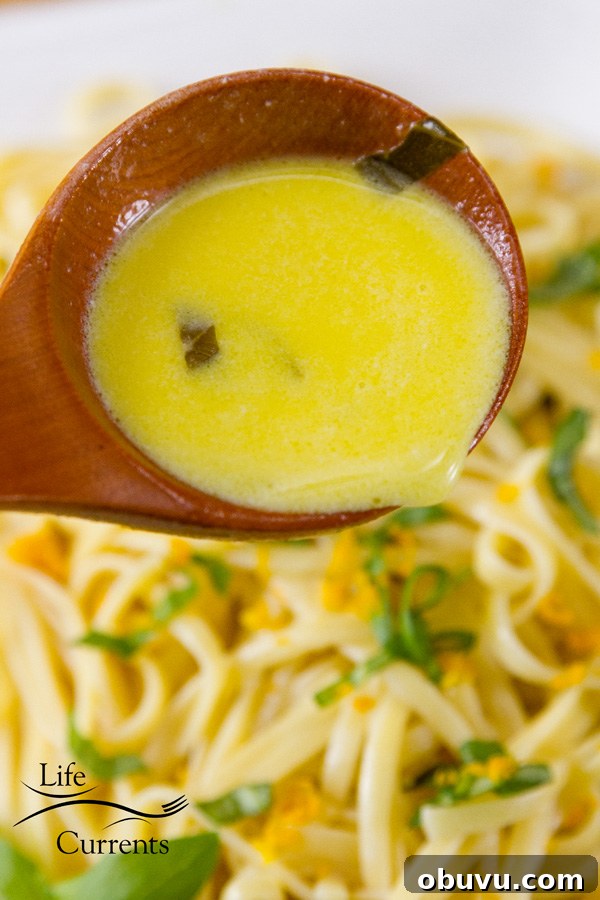 Orange Basil Cream Sauce - This sauce works so well with pasta, fish, or chicken. Orange Basil Cream Sauce - This sauce works so well with pasta, fish, or chicken.