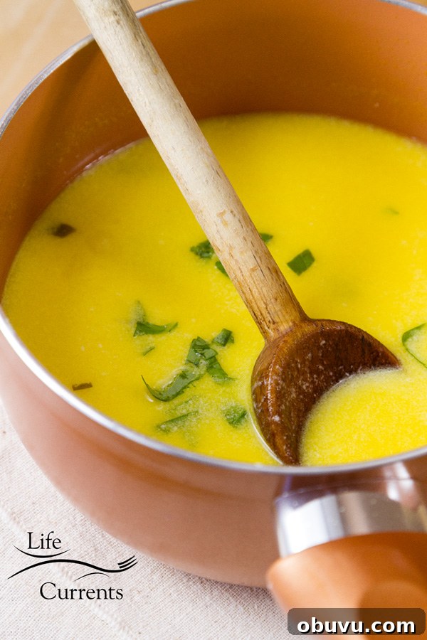 Orange Basil Cream Sauce - serve this sauce for a fancy romantic dinner Orange Basil Cream Sauce - serve this sauce for a fancy romantic dinner