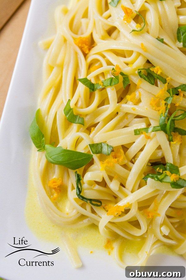 Orange Basil Cream Sauce - It’ll be a house favorite over pasta, chicken, fish, steak Orange Basil Cream Sauce - It’ll be a house favorite over pasta, chicken, fish, steak