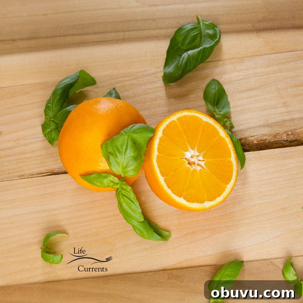 oranges and basil - so fresh - from my Orange Basil Cream Sauce Recipe oranges and basil - so fresh - from my Orange Basil Cream Sauce Recipe