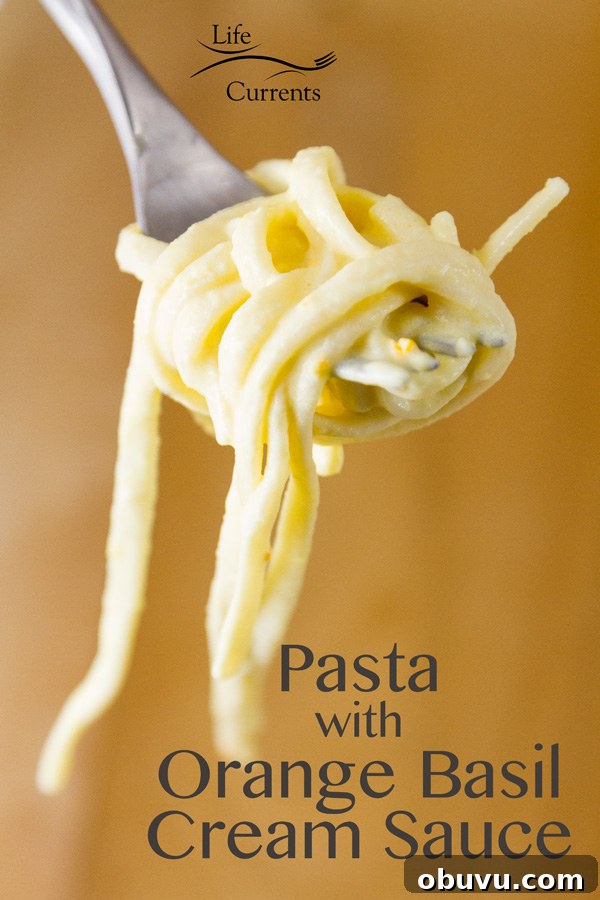 Orange Basil Cream Sauce served over pasta - unforgettable! Orange Basil Cream Sauce served over pasta - unforgettable!