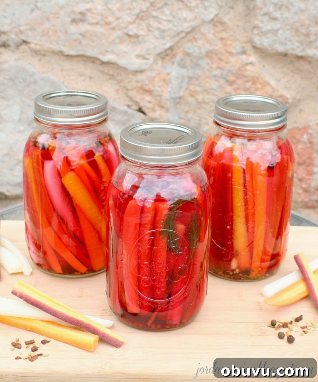 Rainbow Carrot Refrigerator Pickles Recipe for Quick Tangy Snacks 10 img 286 13