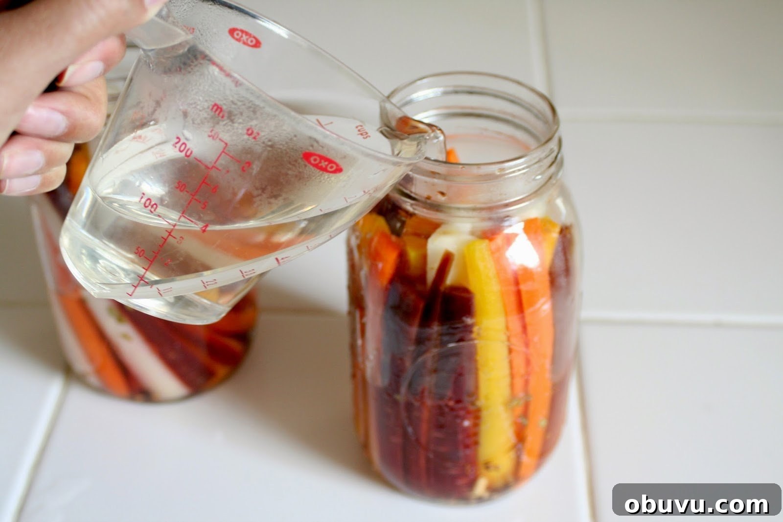 Rainbow Carrot Refrigerator Pickles Recipe for Quick Tangy Snacks 7 img 286 9