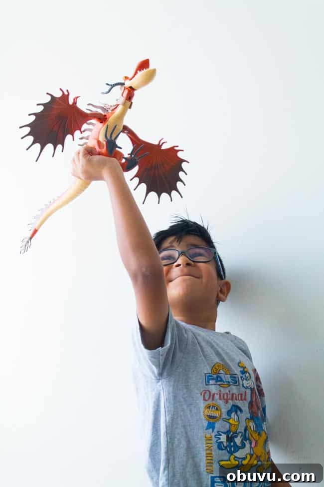 Playmobil How to Train Your Dragon Toy Sets: Guide & Reviews 5 Dreamworks Dragons toys