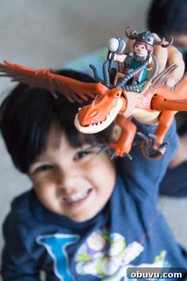 Playmobil How to Train Your Dragon Toy Sets: Guide & Reviews 6 dragon toy