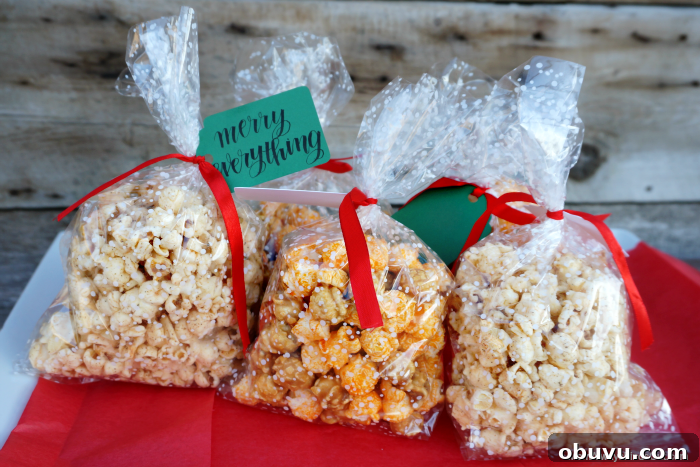 DIY Gourmet Popcorn Gift Ideas Using G.H. Cretors Popcorn 3 GH Cretors DIY Popcorn Gifts Bags