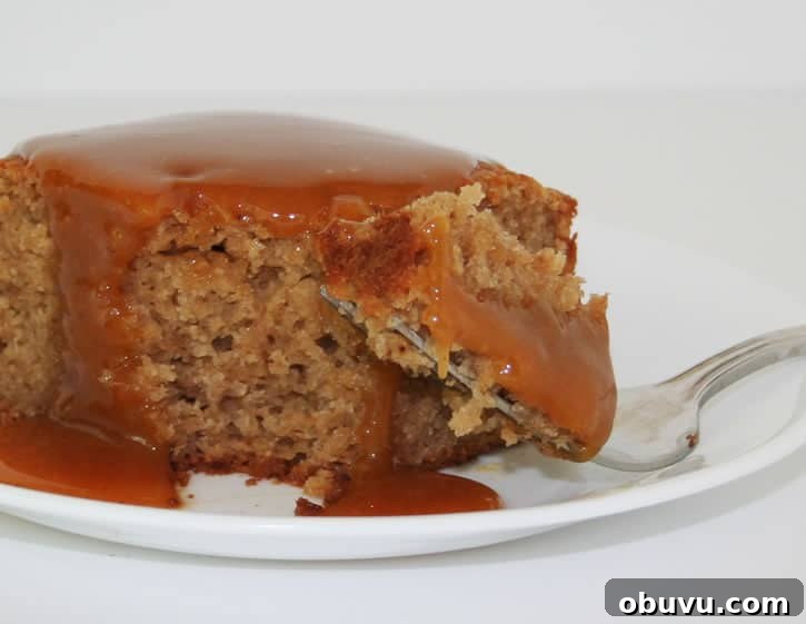 Spiced Applesauce Cake with Buttermilk Caramel Drizzle 2 spiced-apple-sauce-cake-square-with-caramel-and-fork