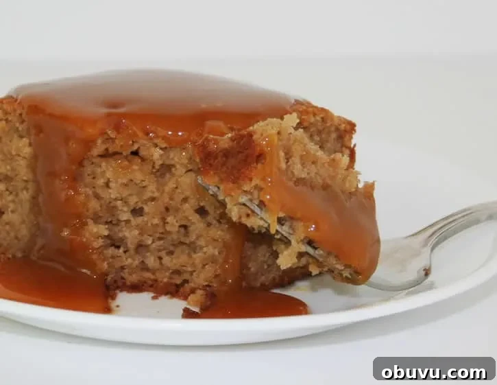 Spiced Applesauce Cake with Buttermilk Caramel Drizzle 7 spiced-apple-sauce-cake-square-with-caramel-and-fork