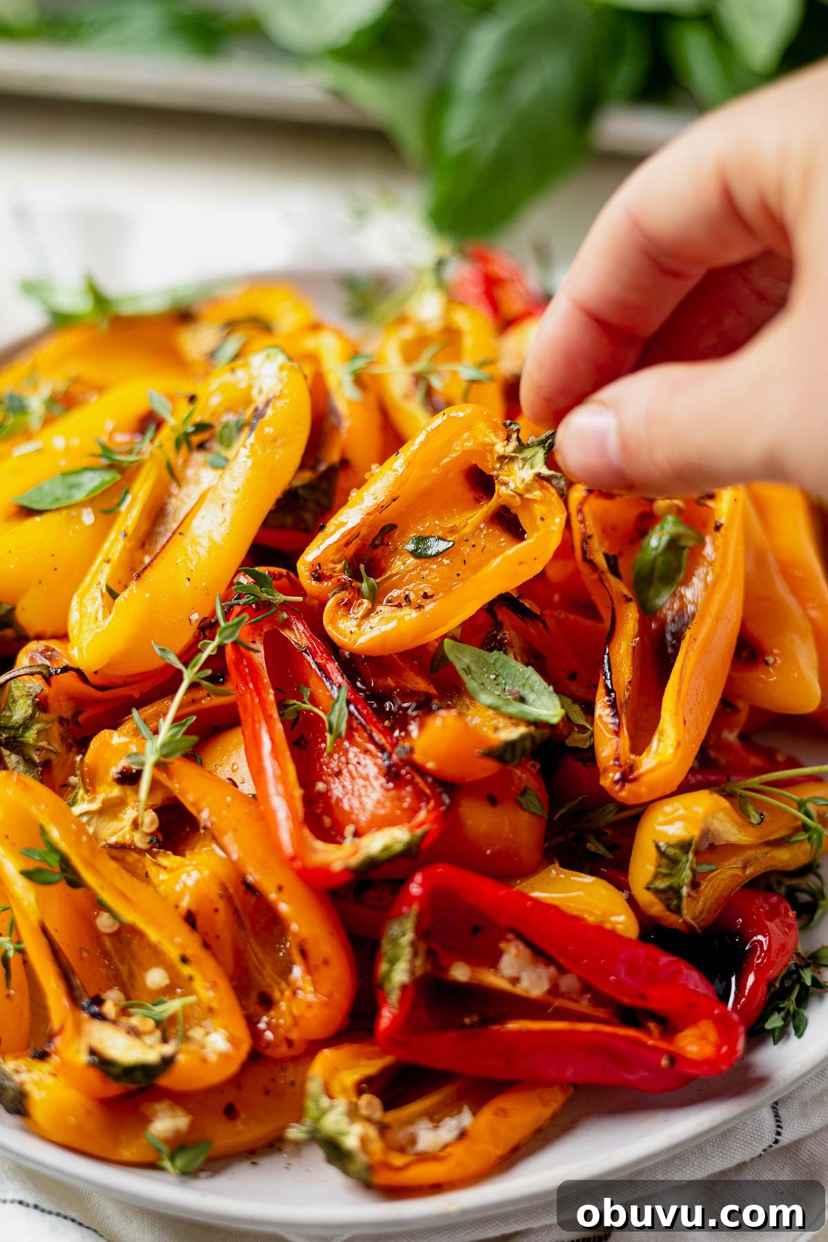 Garlic-Roasted Mini Peppers: Flavorful Oven-Roasted Snack or Side 4 A plate of roasted mini sweet peppers a blistered mini yellow pepper on the top.