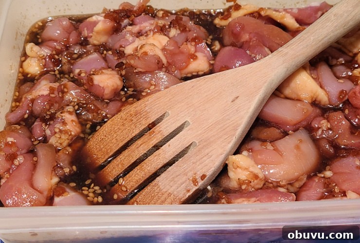Teriyaki Chicken Fried Rice Made on a Blackstone Griddle 3 Diced chicken thighs in Teriyaki marinade in a container