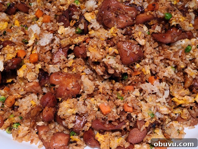Teriyaki Chicken Fried Rice Made on a Blackstone Griddle 6 Teriyaki Chicken Fried Rice served on a platter