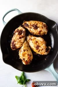Sun-Dried Tomato Chicken Caprese Recipe with Fresh Basil 13 img 31371 12