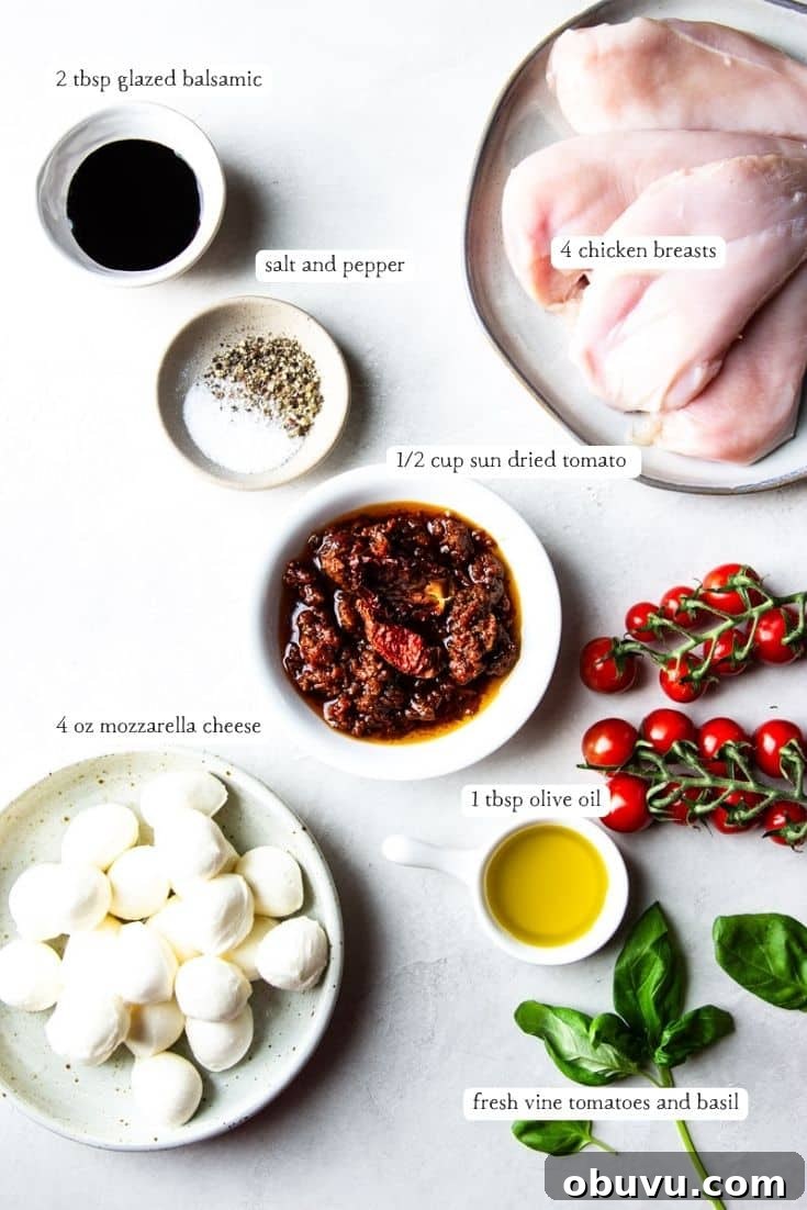 Sun-Dried Tomato Chicken Caprese Recipe with Fresh Basil 3 Balsamic glaze, salt and pepper, chicken breasts, sun dried tomato, fresh mozzarella cheese, olive oil, tomatoes on the vine, fresh basil.
