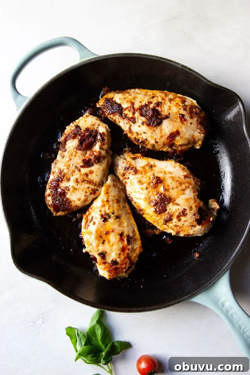 Sun-Dried Tomato Chicken Caprese Recipe with Fresh Basil 6 Sauteed chicken that's seasoned with sundried tomatoes.