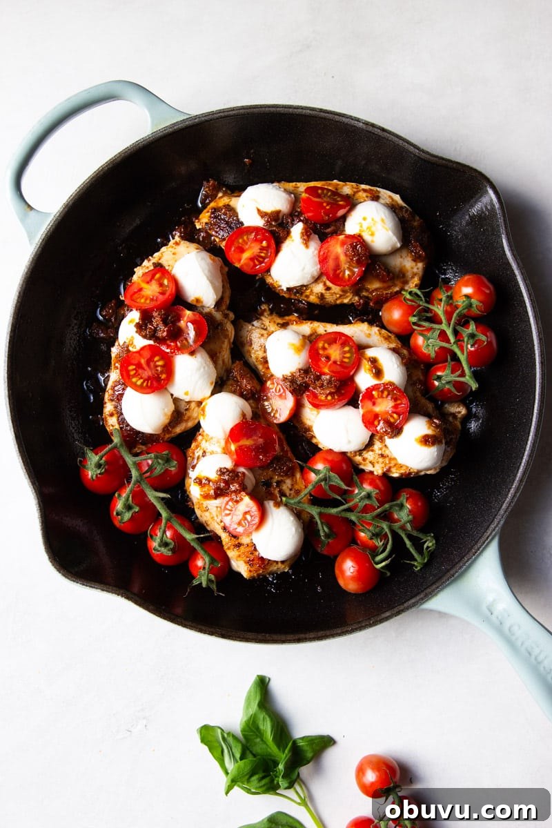 Sun-Dried Tomato Chicken Caprese Recipe with Fresh Basil 7 Chicken with fresh mozzarella and tomatoes on the vine, basil.