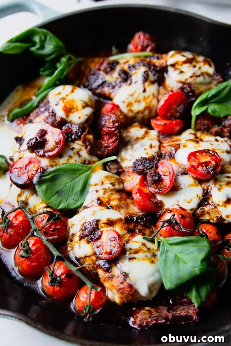 Sun-Dried Tomato Chicken Caprese Recipe with Fresh Basil 8 Cast iron skillet with balsamic glazed chicken, tomatoes, fresh mozzarella and basil.