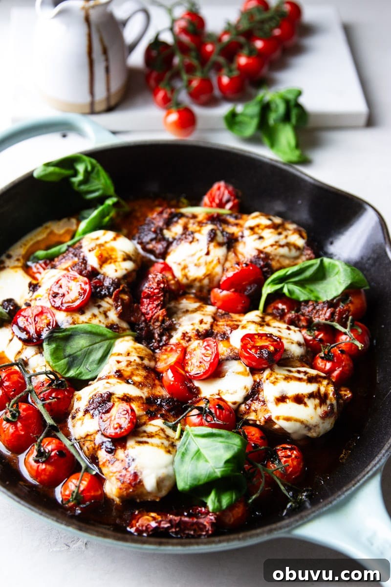 Sun-Dried Tomato Chicken Caprese Recipe with Fresh Basil 10 Cast iron skillet with balsamic glazed chicken, tomatoes, fresh mozzarella and basil.
