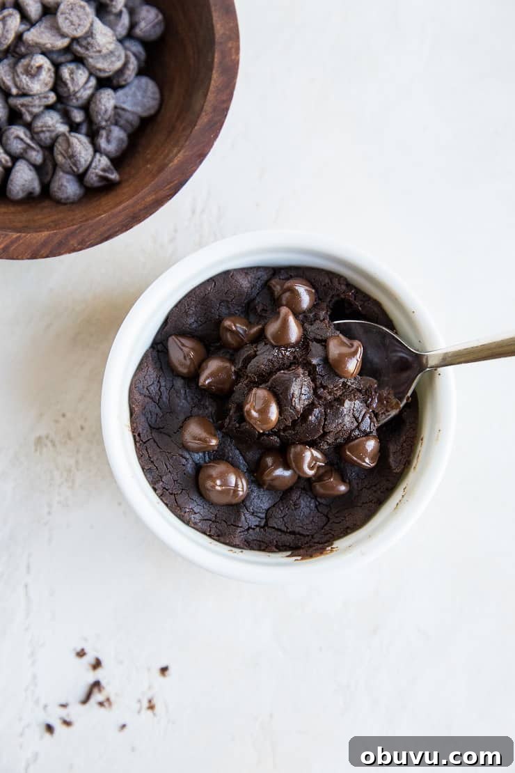 Double Chocolate Vegan Black Bean Cookies — High-Protein Treats 10 Single-serve black bean brownie in a mug - grain-free, refined sugar-free, egg-free and delicious
