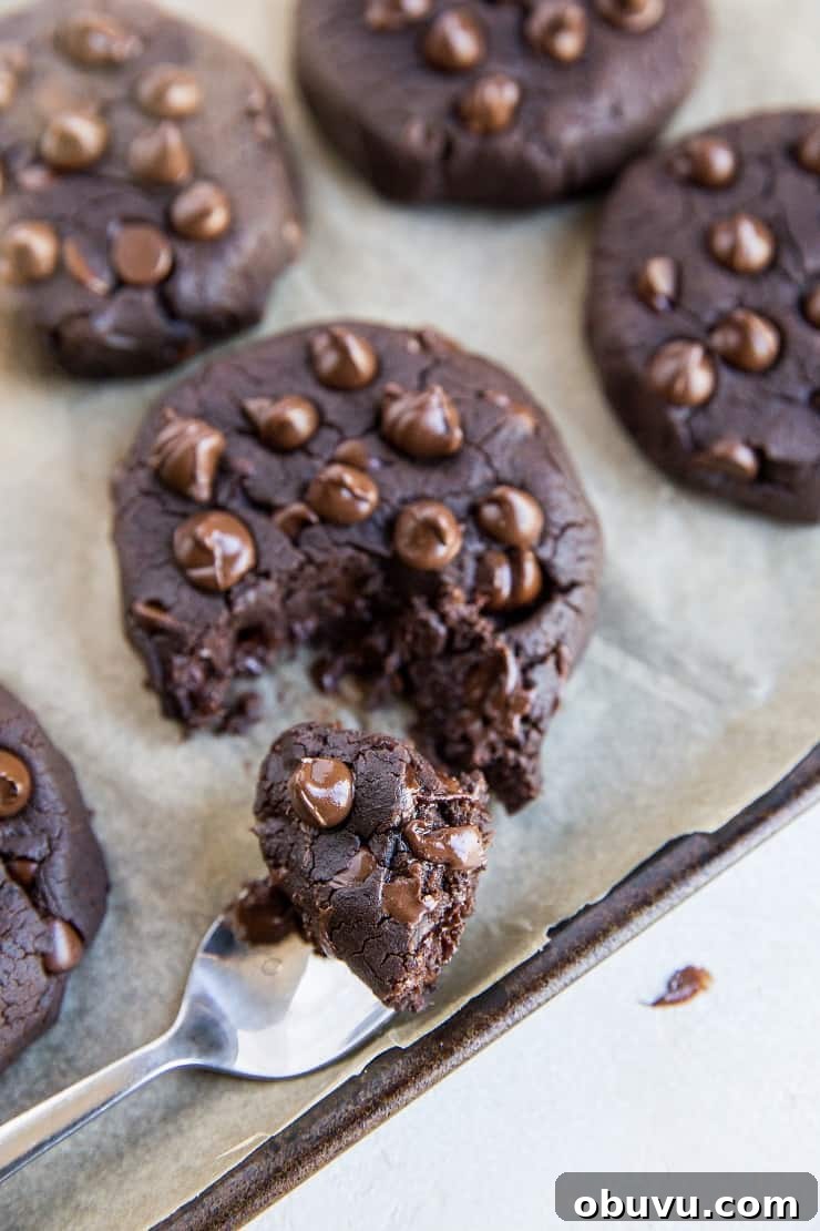 Double Chocolate Vegan Black Bean Cookies — High-Protein Treats 11 Vegan Chocolate Black Bean Cookies - 6 ingredients, no eggs, no flour, grain-free, dairy-free, refined sugar-free and healthy!