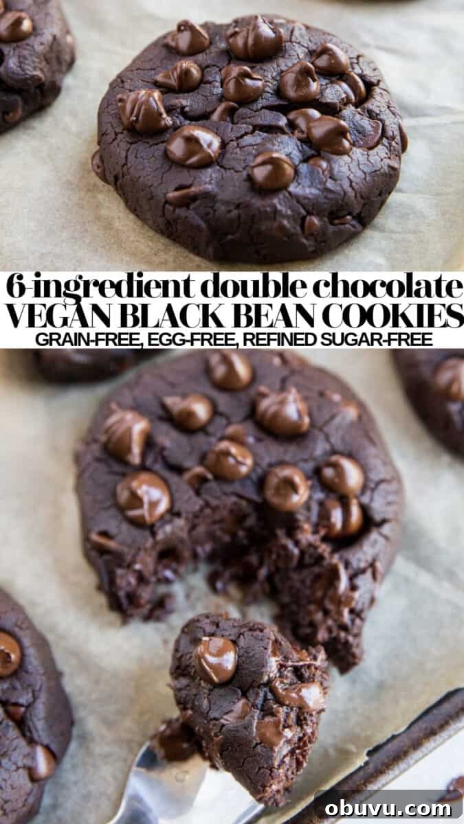 Double Chocolate Vegan Black Bean Cookies — High-Protein Treats 12 Double Chocolate Vegan Black Bean Cookies - healthy 6-ingredient vegan cookies with no eggs, gluten-free and refined sugar-free! A healthy dessert recipe!