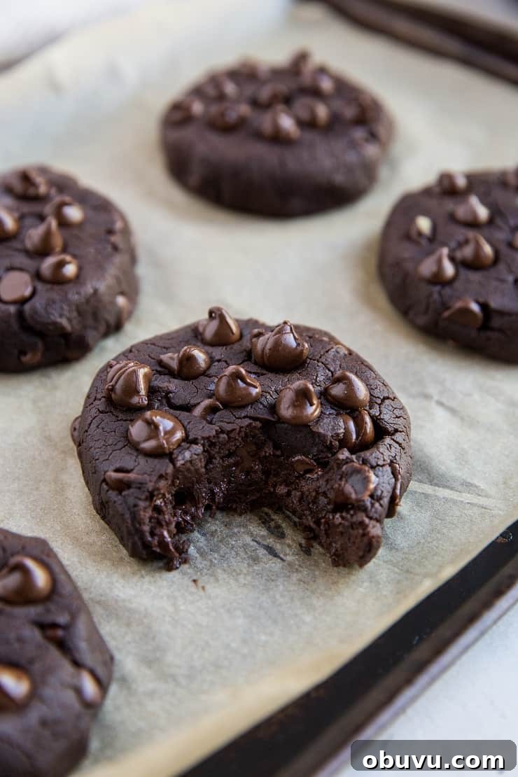 Double Chocolate Vegan Black Bean Cookies — High-Protein Treats 4 Vegan Double Chocolate Black Bean Cookies made with 6 whole food ingredients. Dairy-free, refined sugar-free, grain-free, egg-free and healthy!