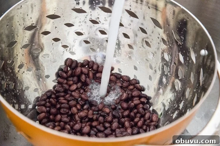 Double Chocolate Vegan Black Bean Cookies — High-Protein Treats 5 Black beans in a colander