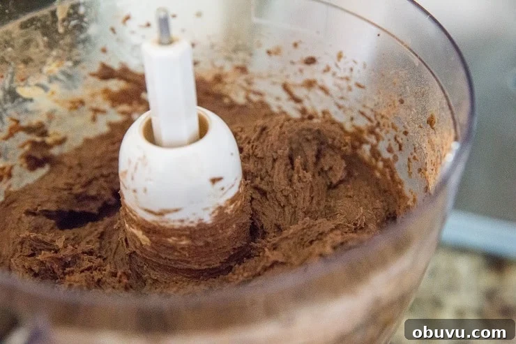 Double Chocolate Vegan Black Bean Cookies — High-Protein Treats 7 Vegan black bean cookie dough in a food processor