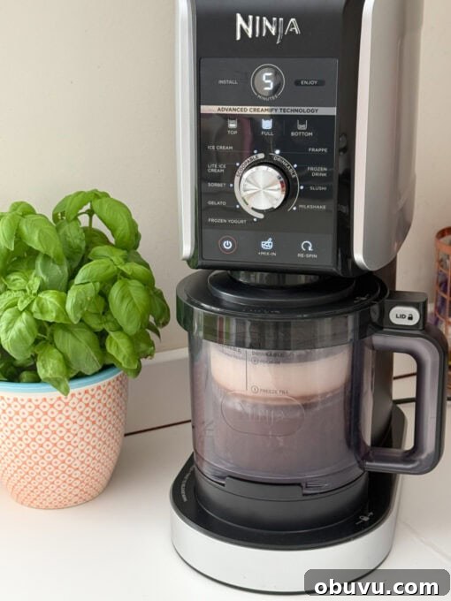 Ninja Creami Coffee Frappe Recipe: Creamy Iced Coffee Dessert 8 img 32141 7