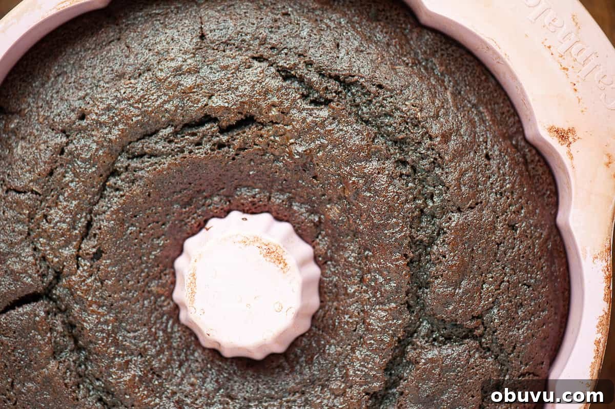 Guinness Chocolate Cake Recipe with Rich Stout Frosting 3 top of chocolate cake in bundt pan.