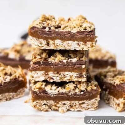 A stack of chocolate date bars.