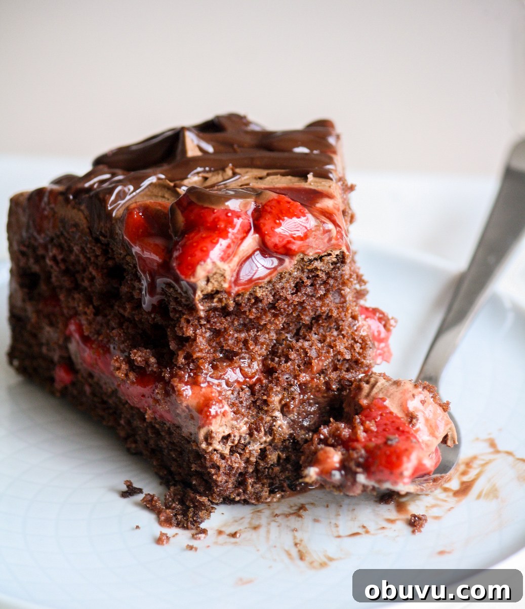 Decadent Chocolate Strawberry Layer Cake Recipe 3 Simple chocolate cake layered with roasted strawberries and whipped ganache frosting