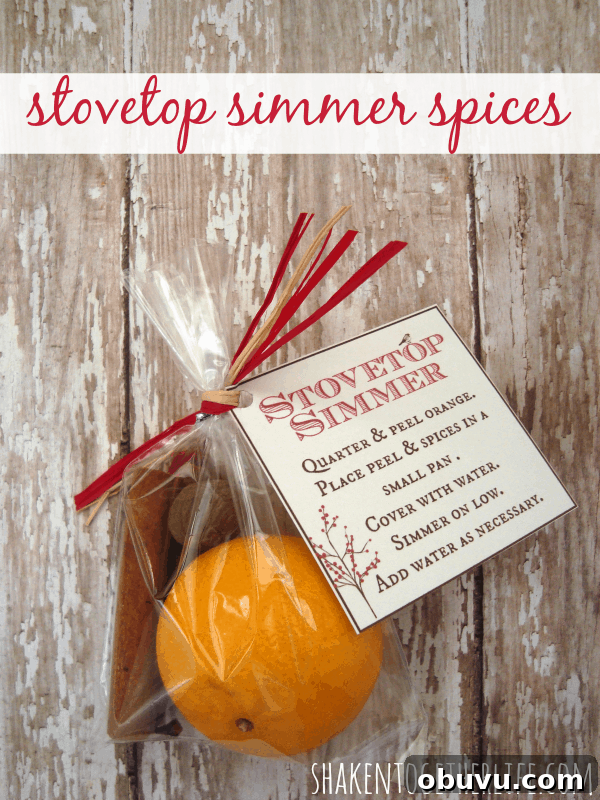 Stovetop simmer spices gift with tag