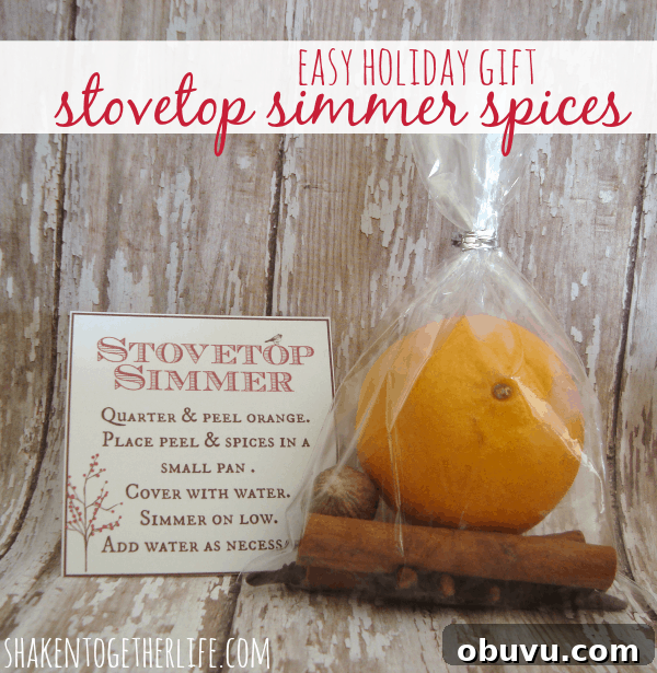 Stovetop Simmer Spices in plastic bag with gift tag