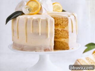 Citrus Champagne Layer Cake | Tutti Dolci