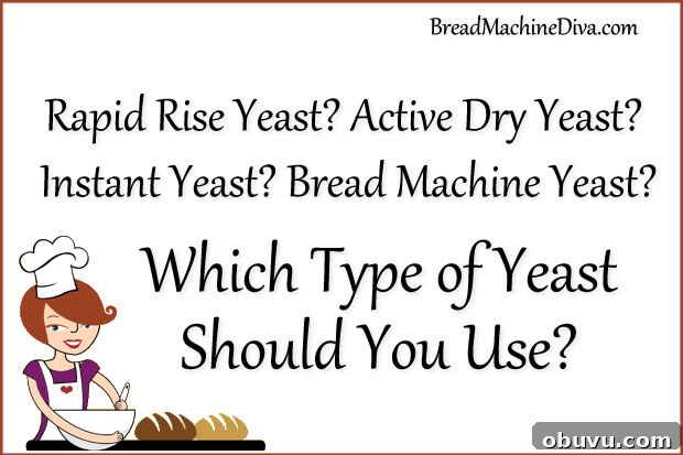 Bread Machine Yeast vs Instant vs Active Dry: Key Differences Explained 2 Bread Machine Yeast? Instant Yeast? Active Dry Yeast? What's the Difference?