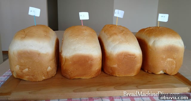 Bread Machine Yeast vs Instant vs Active Dry: Key Differences Explained 6 Yeast conversion