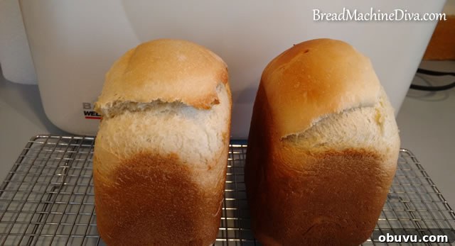Bread Machine Yeast vs Instant vs Active Dry: Key Differences Explained 8 Welbilt Sandwich Bread