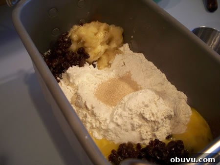 Bread Machine Yeast vs Instant vs Active Dry: Key Differences Explained 9 Raisin Banana Bread