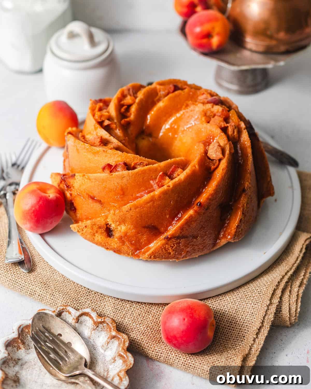 apricot cake on a cake plate surrounded by fresh apricots.