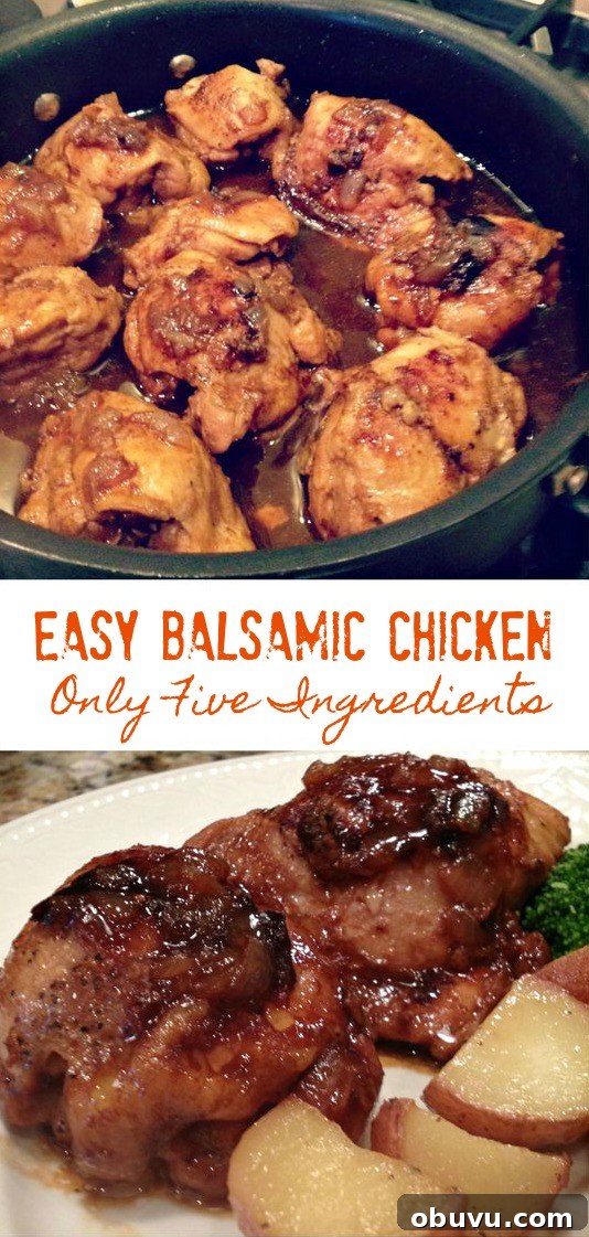 EASY BALSAMIC CHICKEN (ONLY 5 INGREDIENTS) - Sweet Little Bluebird