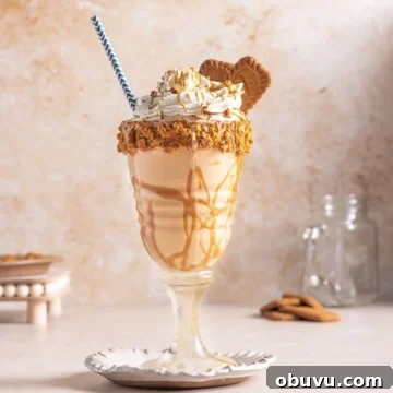 A cup of lotus milkshake with whipped cream drizzled with cookie butter spread in a tall glass.
