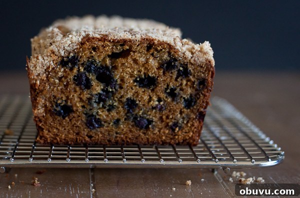 Blueberry Almond Streusel Loaf Cake Recipe 5 Blueberry Loaf Cake with Almond Streusel